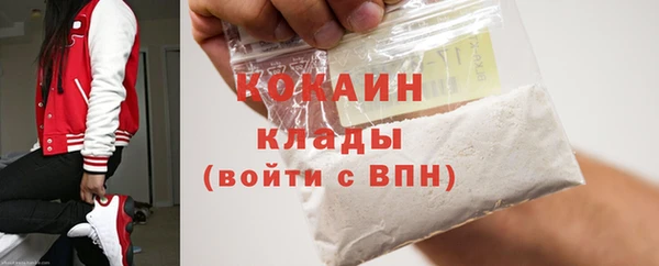 гашик Арсеньев