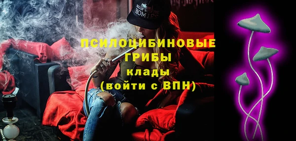 гашик Арсеньев