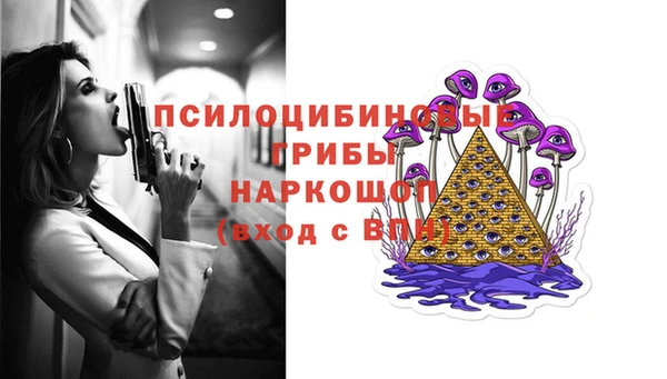 гашик Арсеньев